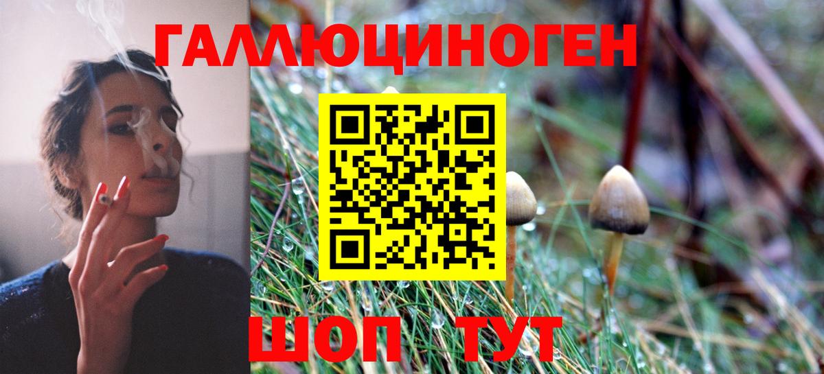 Псилоцибиновые грибы GOLDEN TEACHER  Псилоцибиновые грибы Cubensis  Пенза  Вход с VPN 